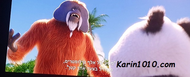 סרט חדש - פנדה באפריקה