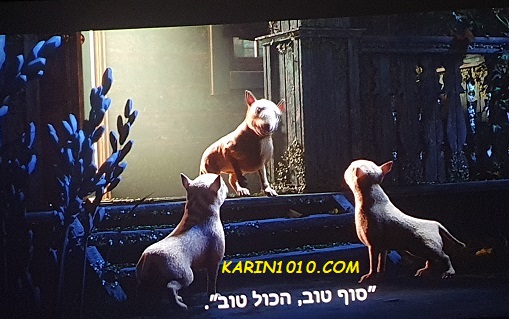 כלבים באופרה - סרט חדש - יוצא ב 7.8.25